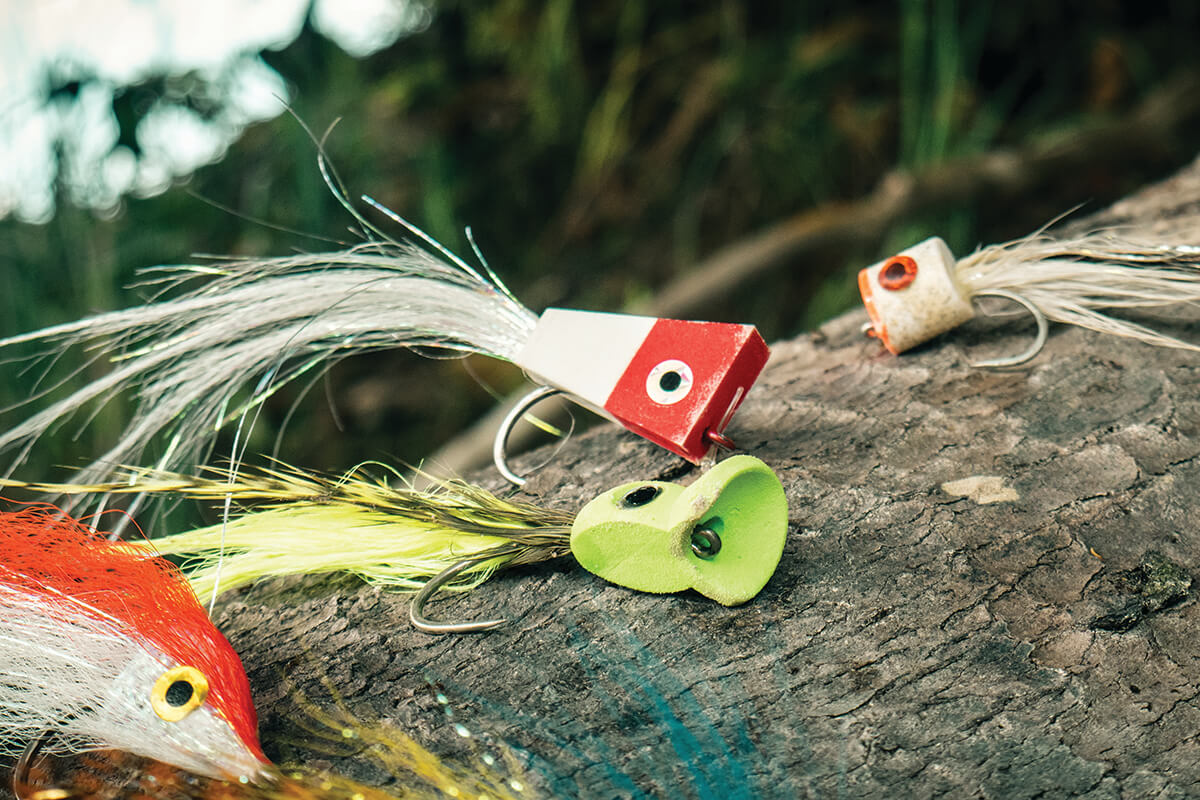 Fly Fishing for  Bass - Fly Fisherman