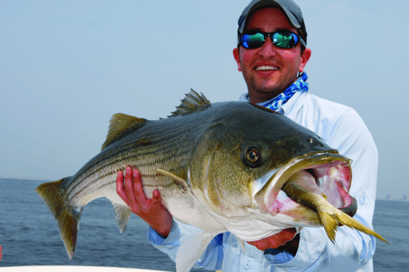 Bait pods mean bent rods in Florida, Georgia as gamefish follow the pogies