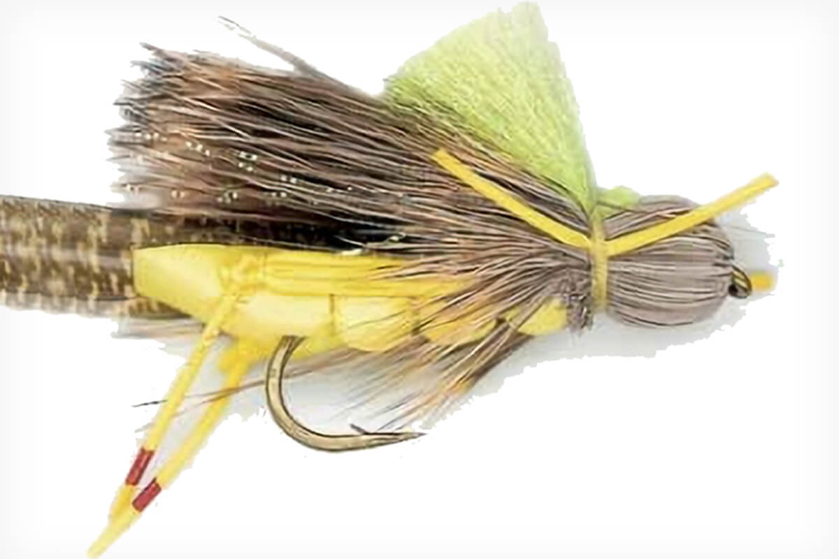 Fly Fishing the BC Hopper-Copper-Dropper
