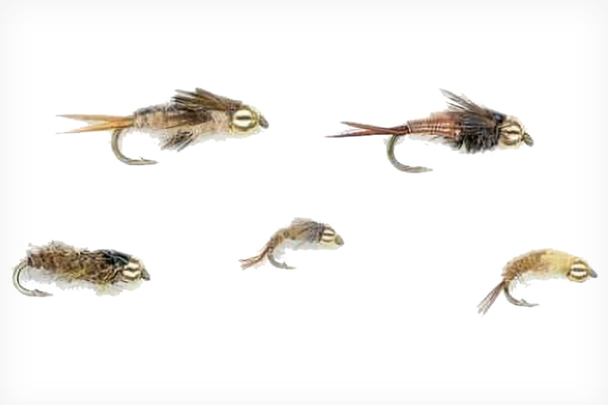  The Fly Fishing Place Grasshopper Trout Fly Fishing Flies  Assortment - Foam Body Hoppers - 9 Flies 3 Patterns Hook Size 10 - Trout  Fly Collection : Sports & Outdoors