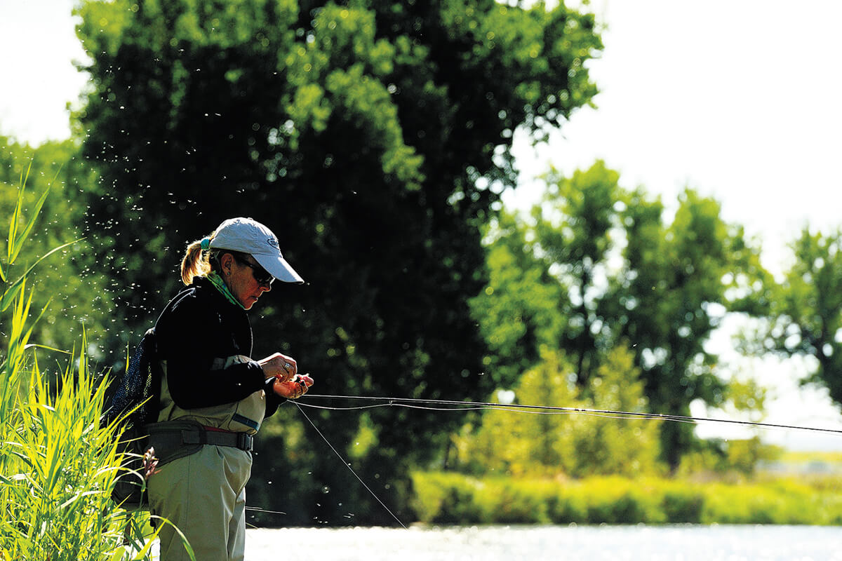Back to the Bighorn River - Fly Fisherman