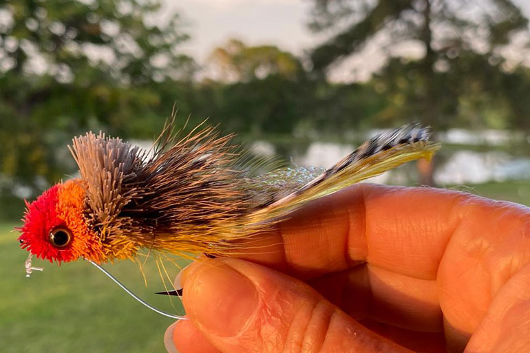 //content.osgnetworks.tv/flyfisherman/content/photos/Big-Fly-For-Record-Bass.jpg