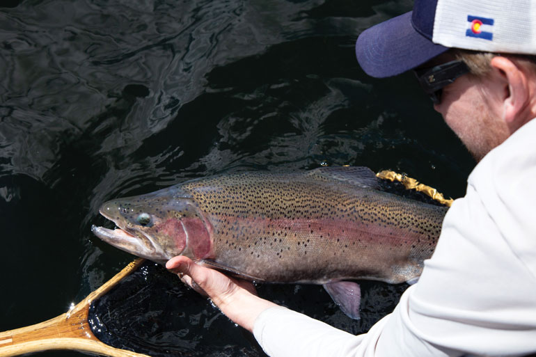 //content.osgnetworks.tv/flyfisherman/content/photos/Big-Rainbow-Trout-on-Stillwater-Fishery.jpg