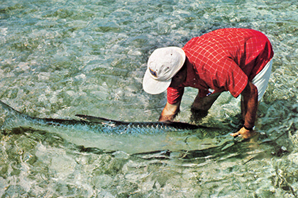 Fly Fisherman Throwback: Lefty Kreh on Fly Fishing for Shark - Fly