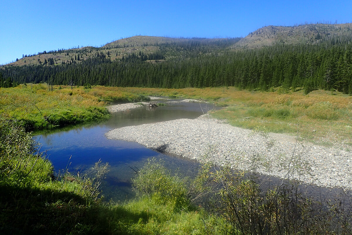 Cutthroat Trout Restoration Project Planned for Slough Creek Tributary