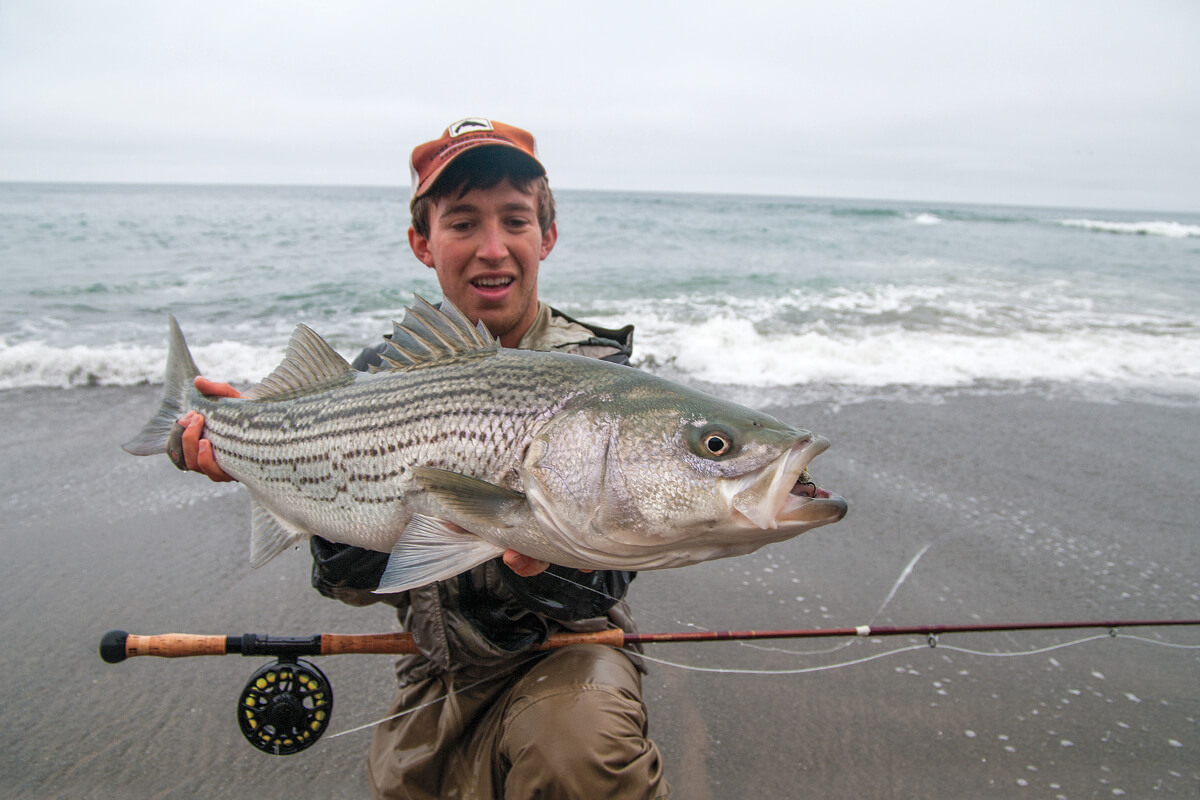 Surf Fishing for Pacific Striped Bass - Fly Fisherman