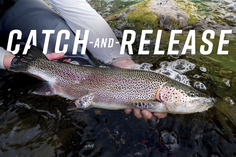 Best Practices for Catch-and-Release Trout Fishing