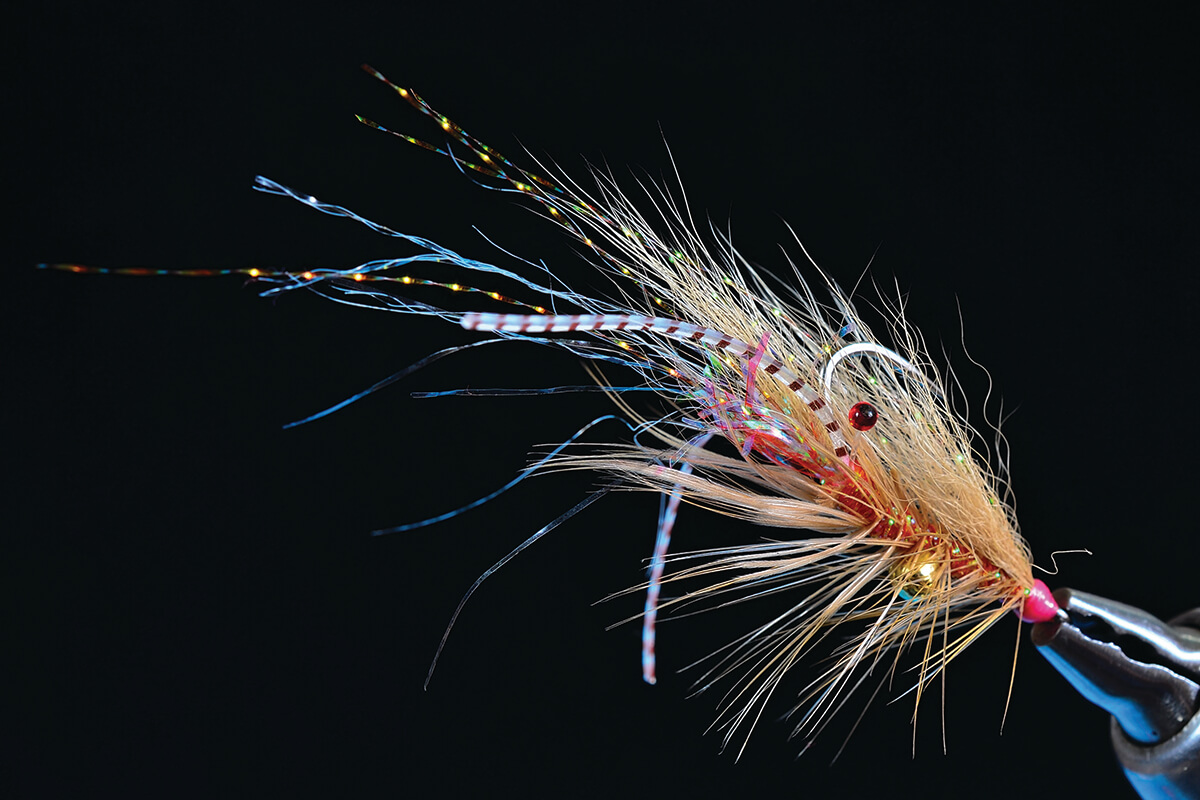 Tying a belly weighted Shrimp - Saltwater version - FlyTyingNation