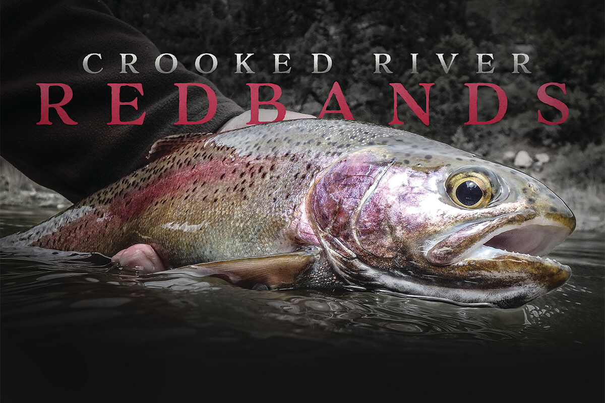 Fishing the Crooked River for Native Redband Rainbow Trout