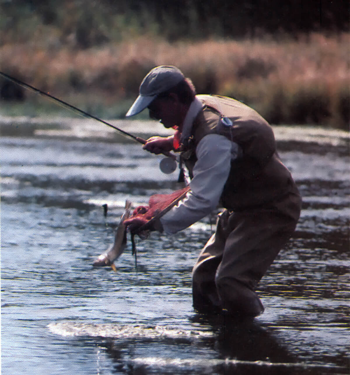 Discover Expert Insight to Fly Fishing Pocket Water in Colorado