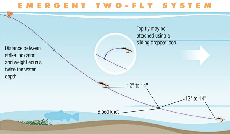 //content.osgnetworks.tv/flyfisherman/content/photos/Emergent-Two-Fly-System.jpg