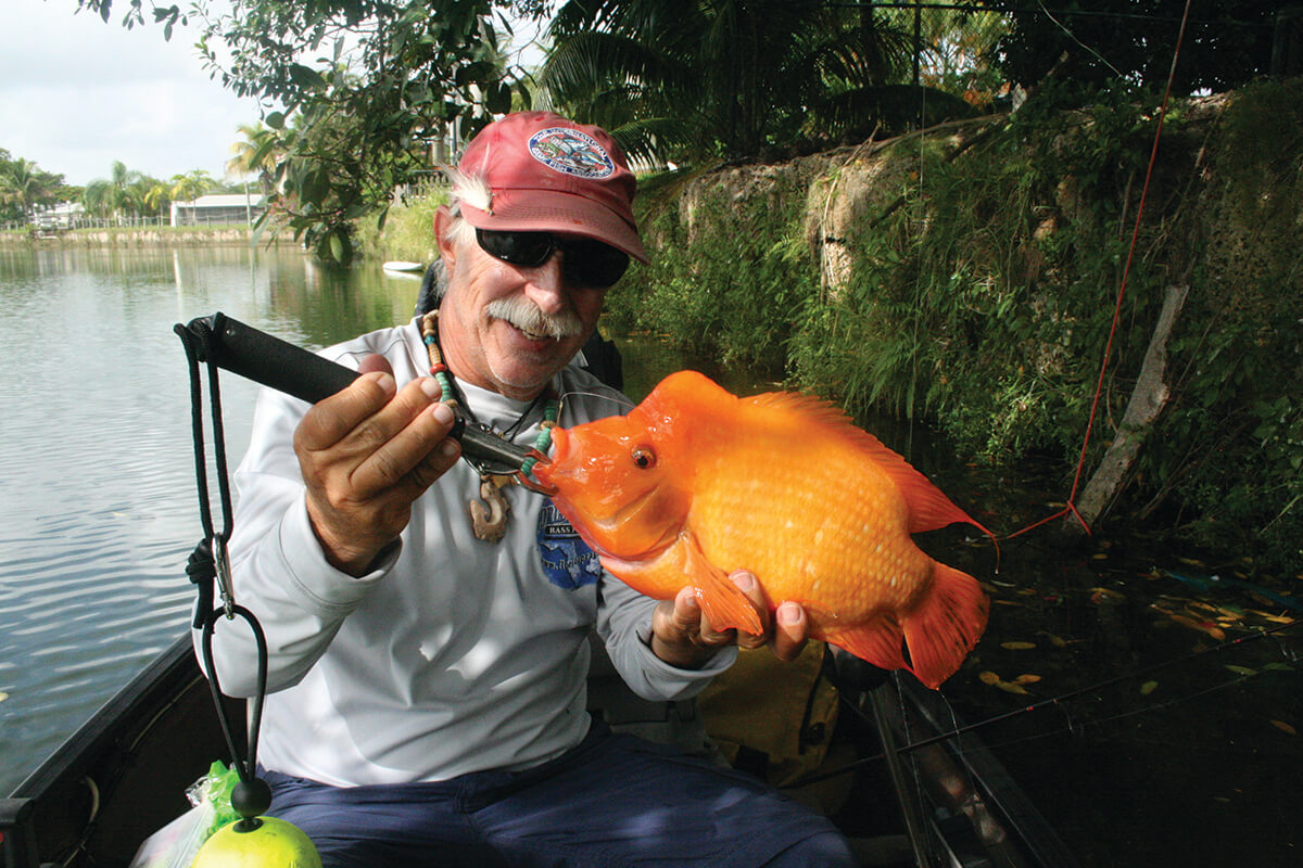 South Florida Water's New Exotic Residents - Fly Fisherman