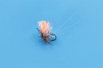 Orange Steelhead Candy Nymph for Fly Fishing