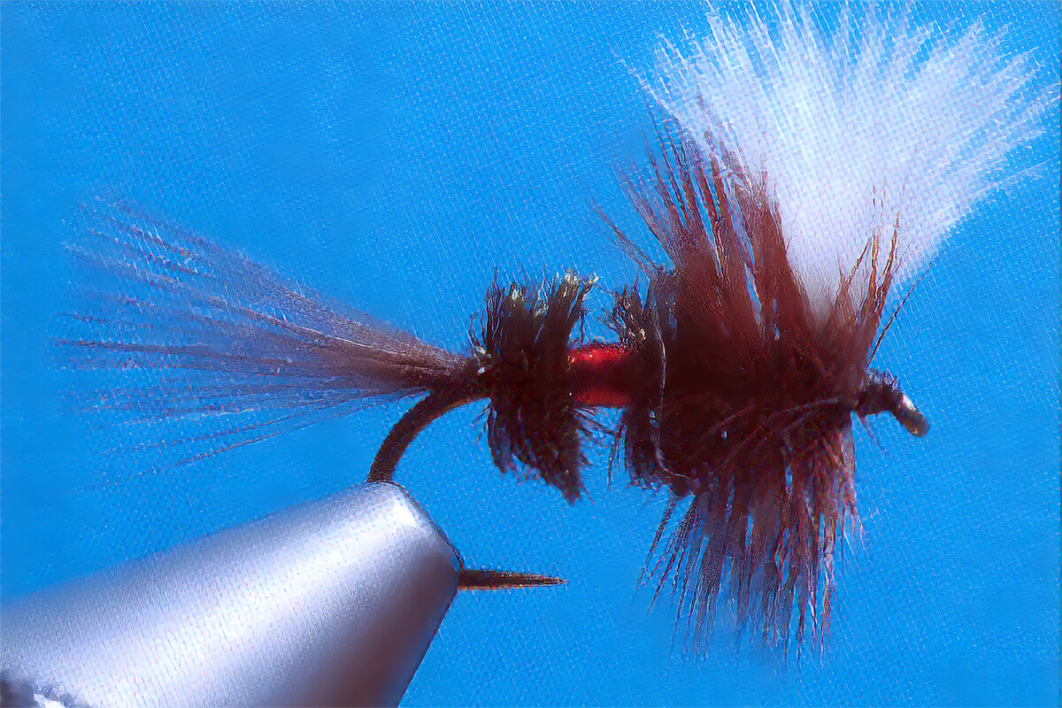 Dry Flies by Colorado Fly Supply - PMD Extended Body - Pale