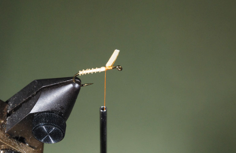 Fly-tying step for Puff Daddy fly