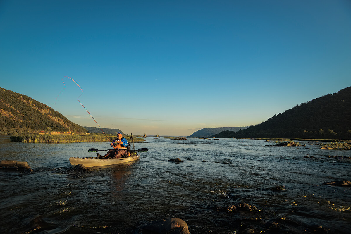 Intersex Bass Turning Up on the Susquehanna, Potomac, and Shenandoah Rivers 