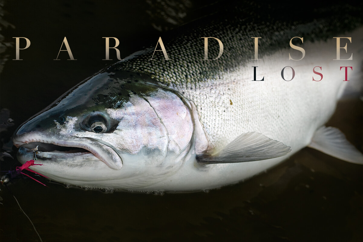 Paradise Lost: the Kamchatka Steelhead Project