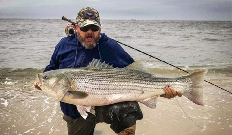 Jersey Giant: Huge Fly Caught Striper Landed, Released in Surf 