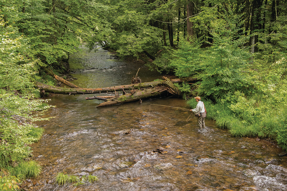 Fly Fishing Kettle Creek's Class A Tributaries
