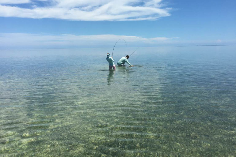 Silence of the Keys: Record Permit Catch Fueled by Fly Fisher's Passionate Journey