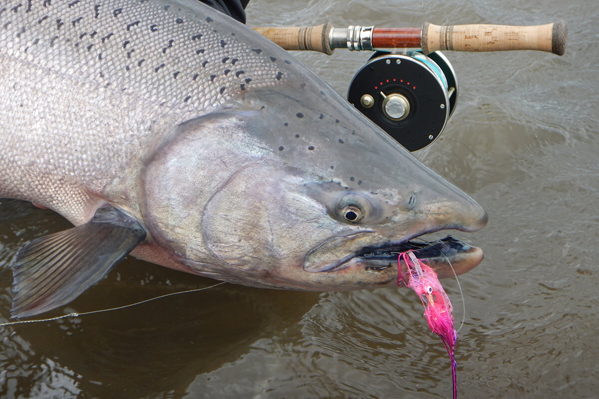 King Salmon Fly Fishing  