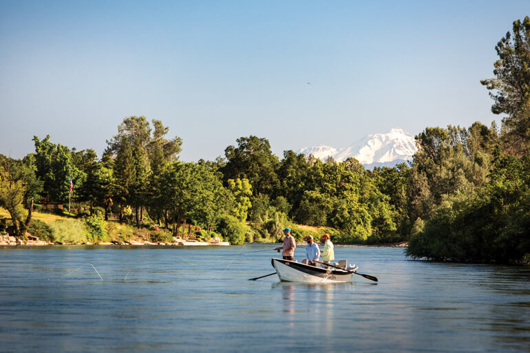 The Sacramento River is Still California's Healthiest Trout River