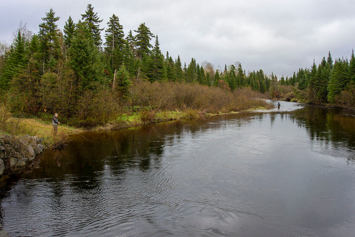 Maine Announces Protections for Critical Brook Trout Habitat