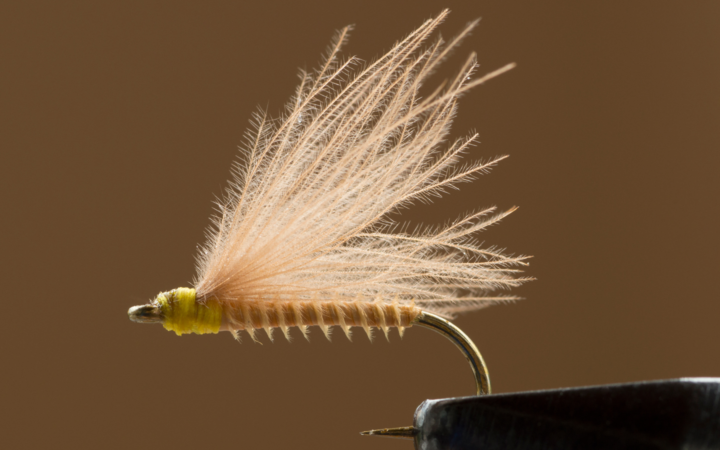 //content.osgnetworks.tv/flyfisherman/content/photos/Male-Sulphur-Down-Wing-Dun1.jpg
