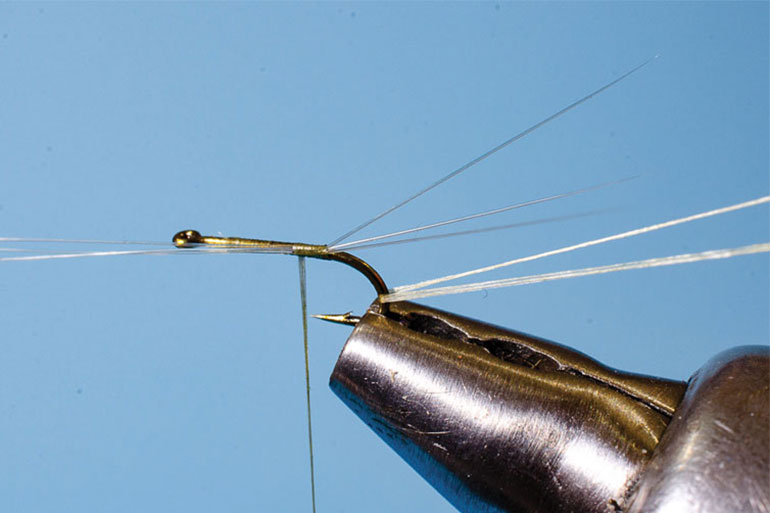 Newman's Micro Matcher Fly Tying - Step 1