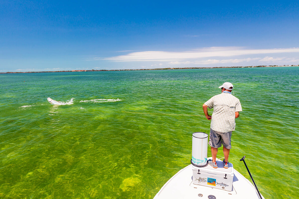 Comment Now on the Update to the National Saltwater Recreational Fisheries Policy