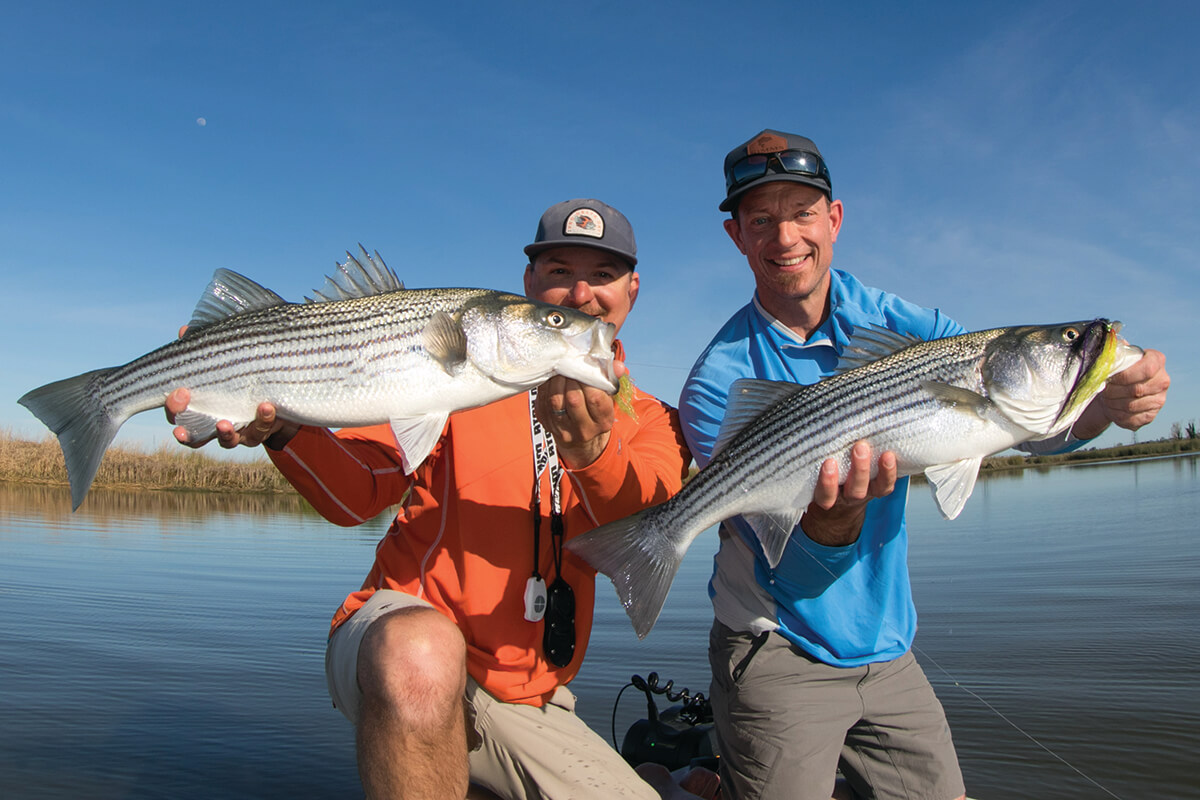 Fly Fishing for Stripers on the California Delta