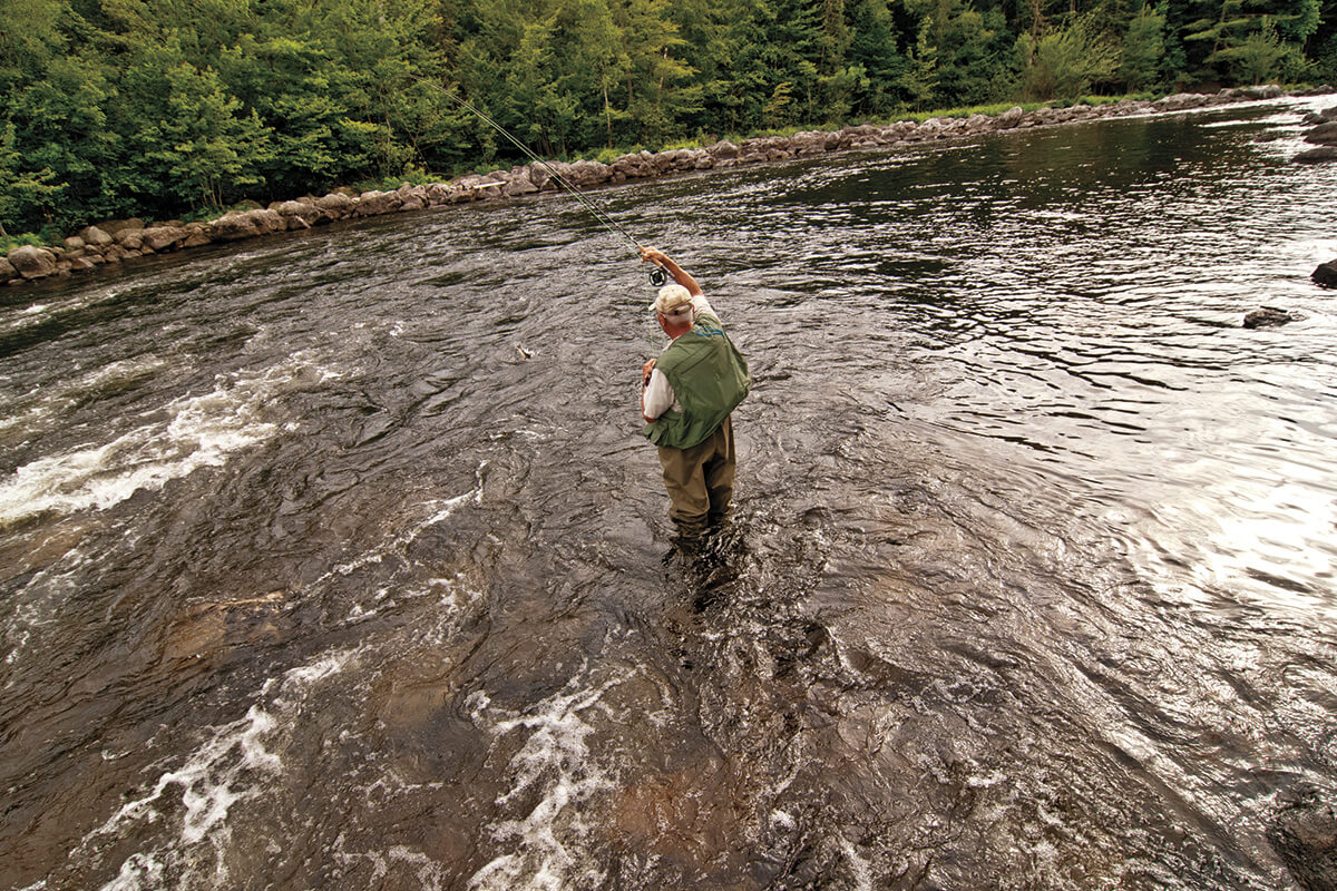 thumbnail image 2 of Brook Trout Fly Fishing Car Front License Plate 6 X 12 Inch 2 of 14