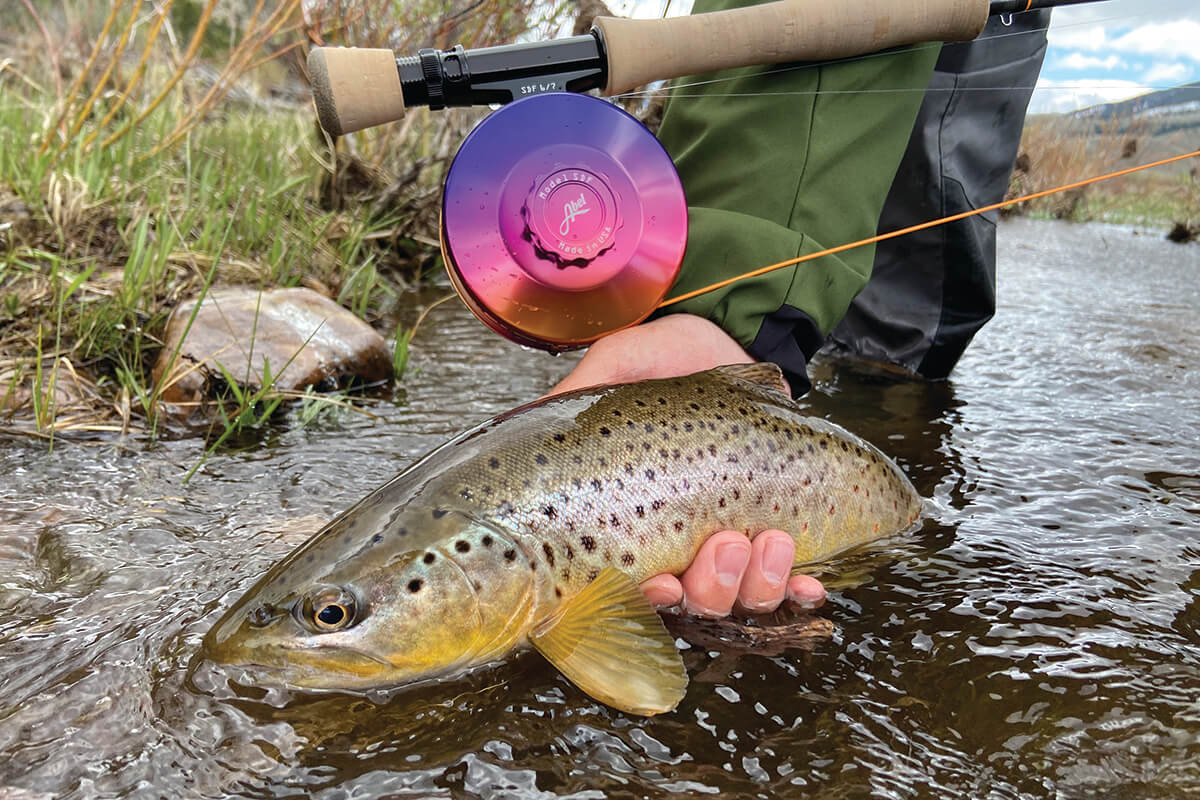 Has anyone used this brand (renegade)? Thoughts? : r/flyfishing