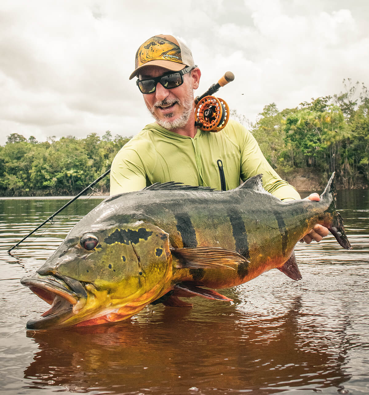 IGFA Peacock Bass All-Tackle Record Landed on Fly Gear - Fly Fisherman