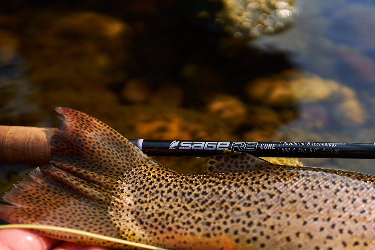 Sage Introduces R8 Core Fly Rod - Fly Fisherman
