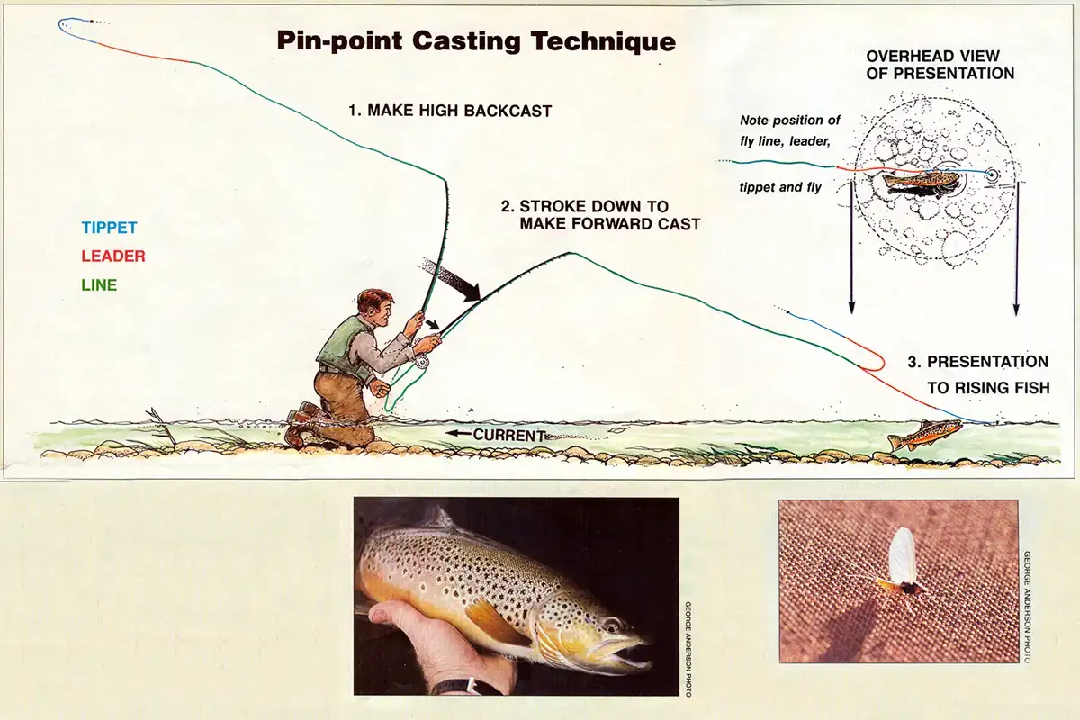 Practice Your Fly Casting With A Plan - Fly Fishing, Gink and Gasoline, How to Fly Fish, Trout Fishing, Fly Tying