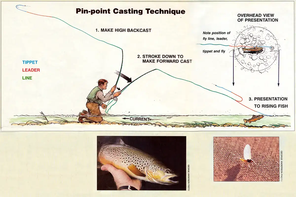 Louis's Saltwater Casting Drill - Fly Fishing, Gink and Gasoline, How to Fly  Fish, Trout Fishing, Fly Tying