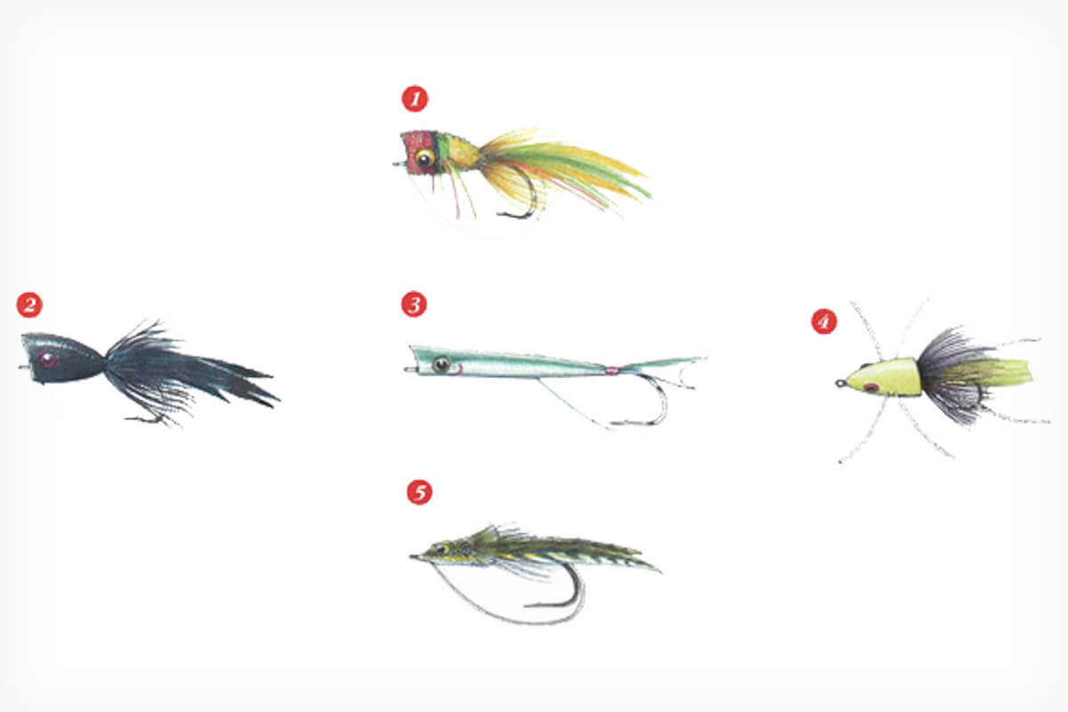 Topwater Time: Three lure styles every fall angler should possess - Outdoor  News