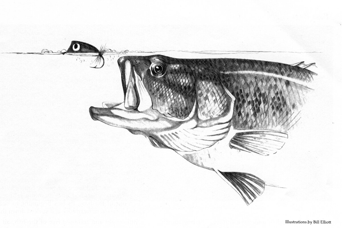 Fly Fisherman Throwback: Demystifying Bass Poppers 