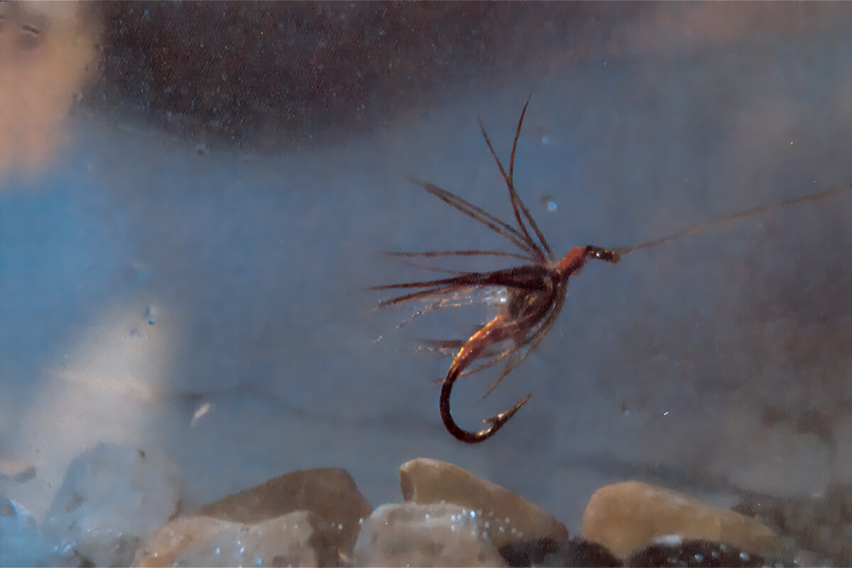 Fly Fisherman Throwback: The Soft-Hackled Fly - Fly Fisherman