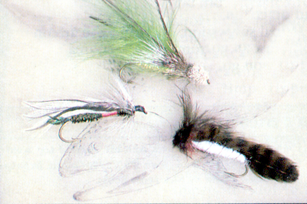  The Fly Fishing Place Muddler Minnow and Sculpin Streamer  Flies - Set of 5 Bass and Trout Fly Fishing Flies - Hook Sizes 2 and 4 :  Sports & Outdoors