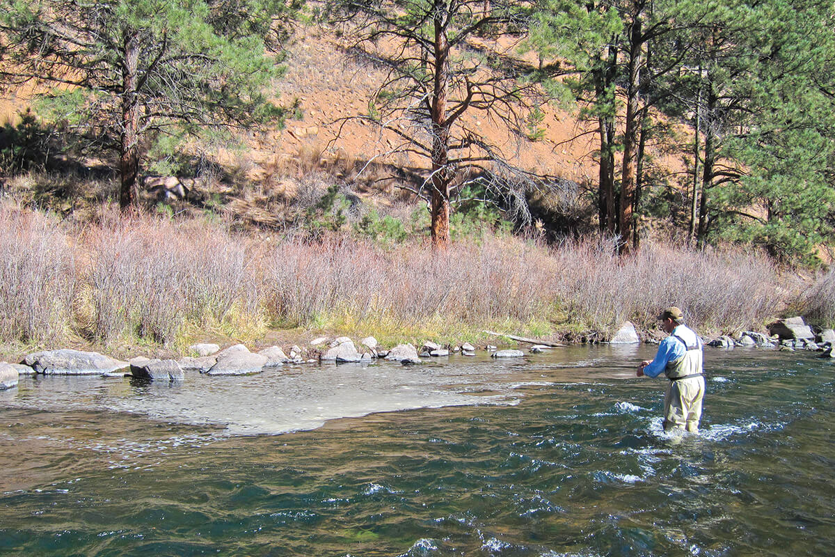 Sleight Of Hand: How To Trick Selective Trout - Fly Fisherman