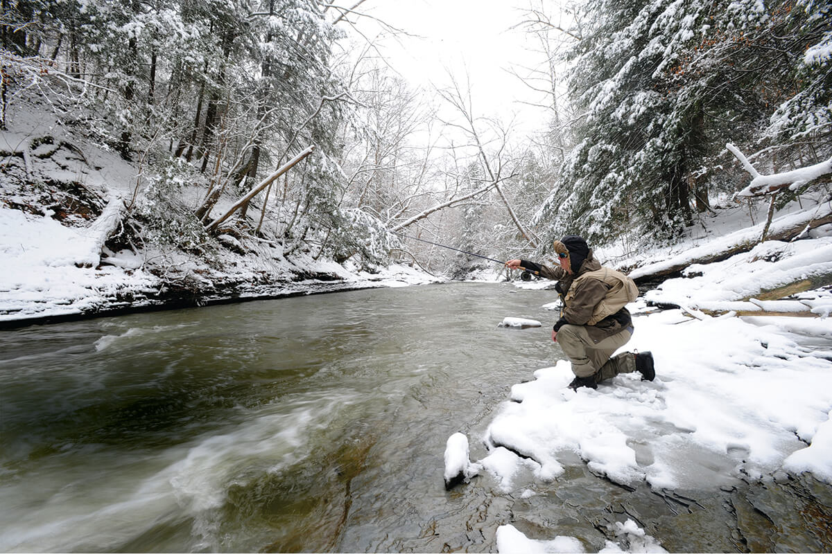 Where Have All the Steelhead Gone? 