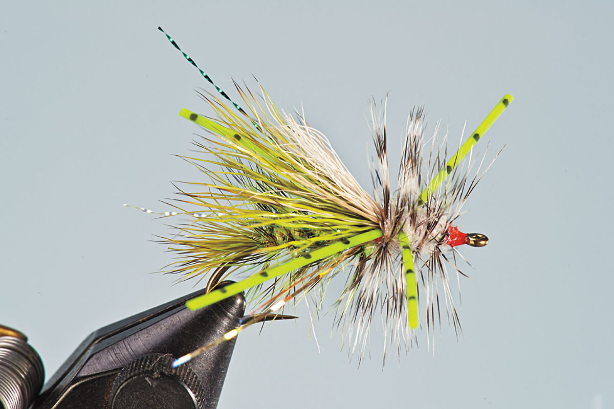 Stimulator Stonef - The Stimulator fly is a go-to attractor dry fly,  particularly when you're dry fly fishing during a big stone fly hatch or salmon  fly hatch. This dry fly sits