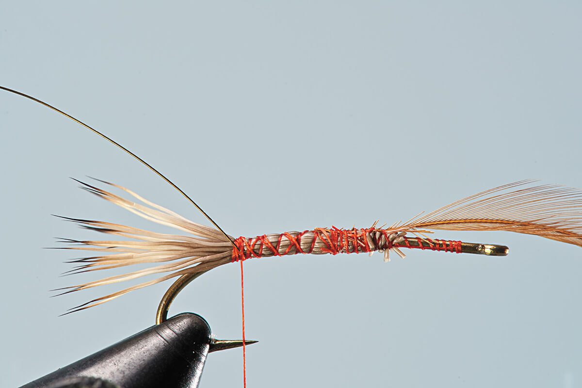 A Classic American Fly: The Stimulator - Fly Fisherman