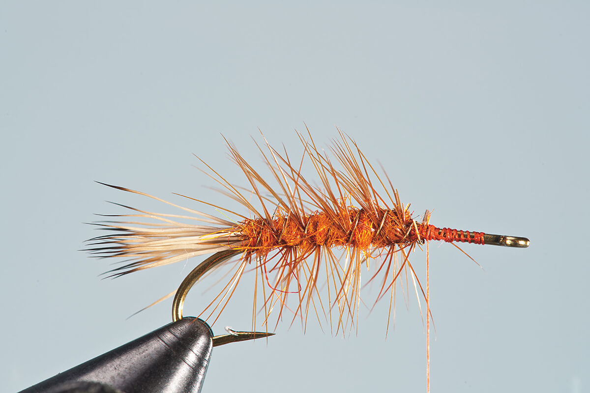  The Fly Fishing Place Black Elk Hair Caddis Classic Trout Dry  Fly - Set of 6 Flies Size 14 : Sports & Outdoors
