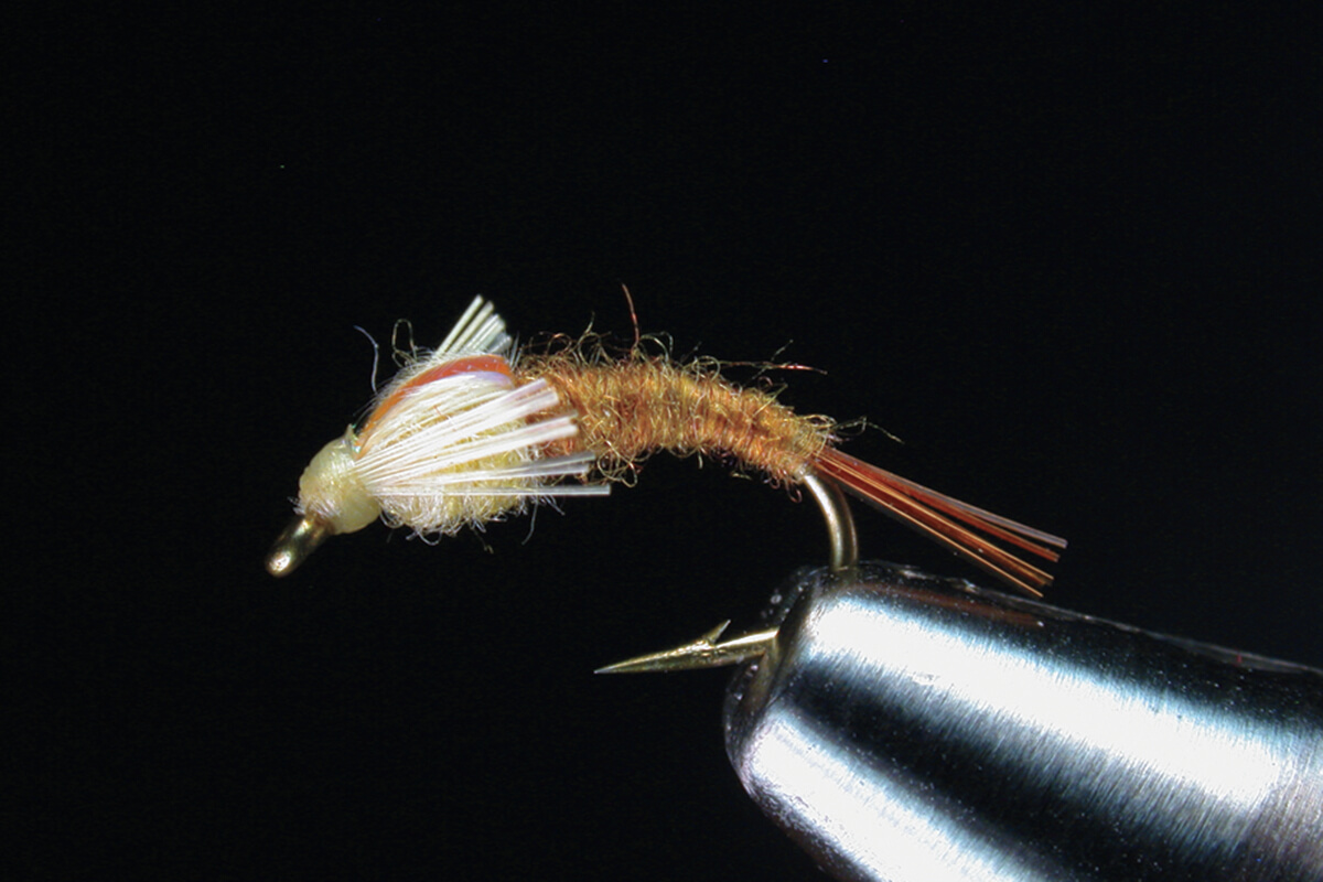 On the Fly: Looking at the top 10 flies for winter angling in the Roaring  Fork