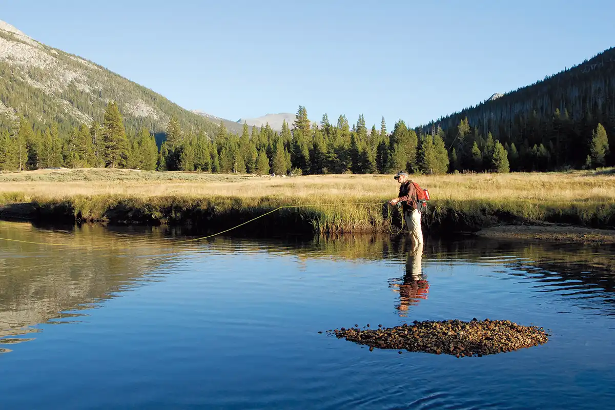 Tuolumne Meadows: Fly Fishing the Lyell and Dana Forks
