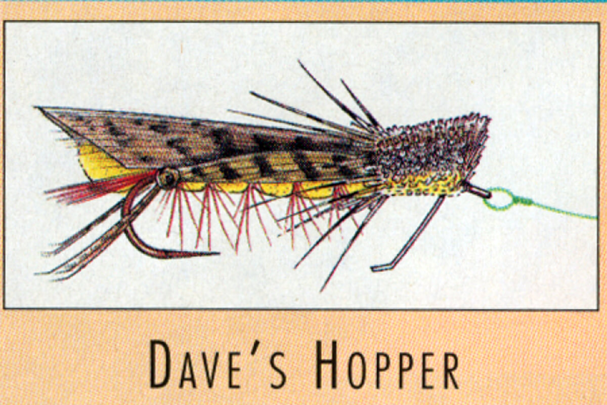 Dave's Hopper