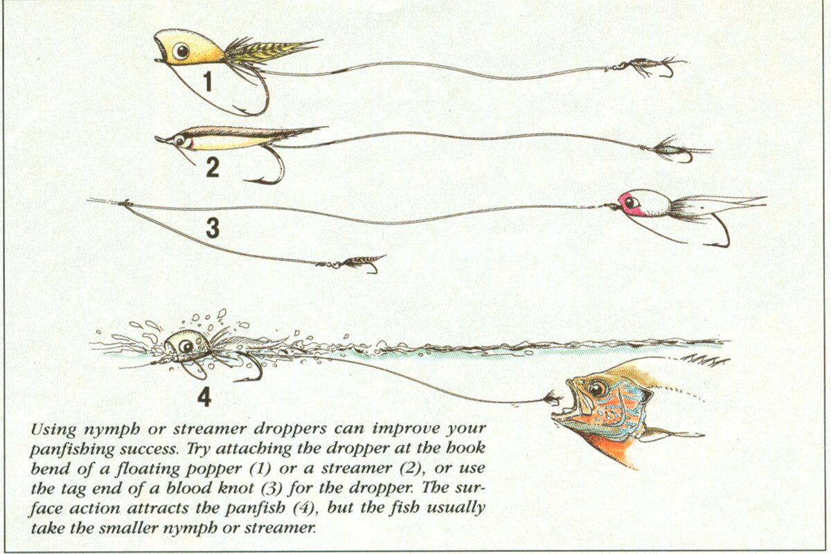 Bream Popper - Sz. 12 - Tight Lines Fly Fishing Co.